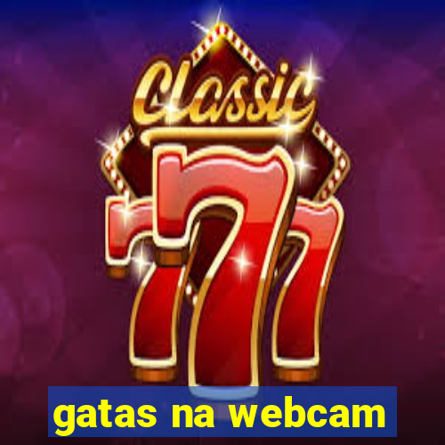 gatas na webcam